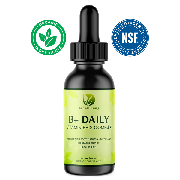 B+ Daily